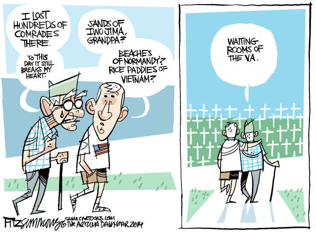 Daily Fitz Cartoon: VA